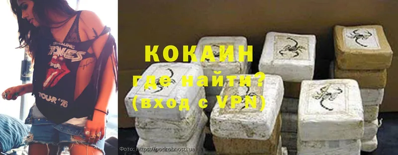 COCAIN Fish Scale  как найти закладки  darknet клад  Кинешма 